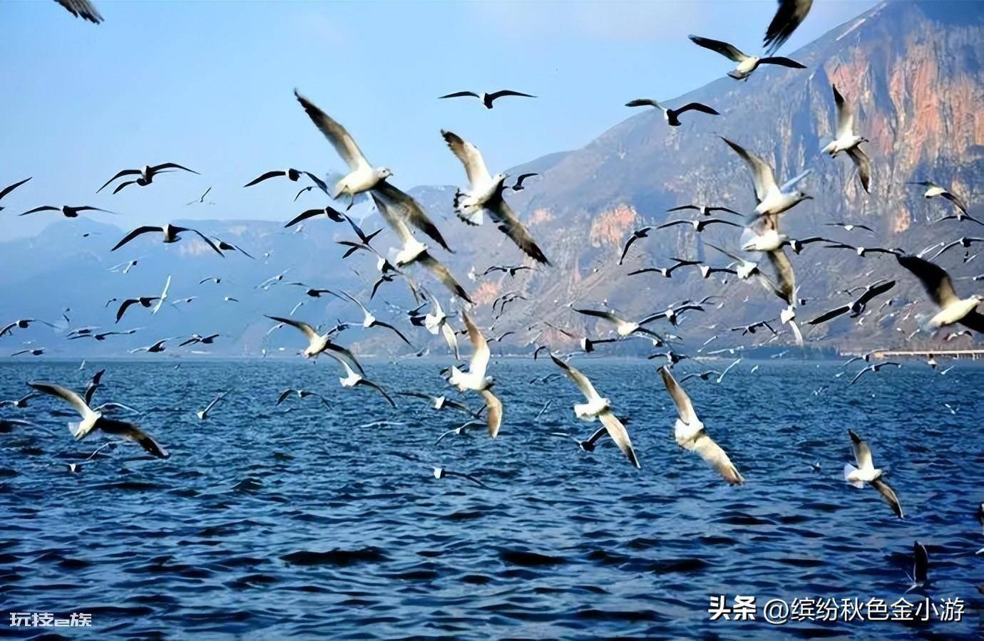 昆明有什么好玩的地方景点(昆明免费的旅游景点推荐)-图片10